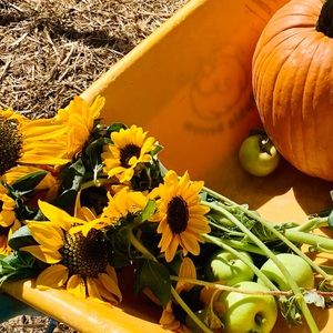 Meet your Posher, Ruth